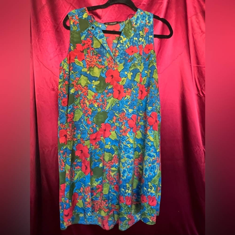 Zara Multicolor Floral Mini Dress